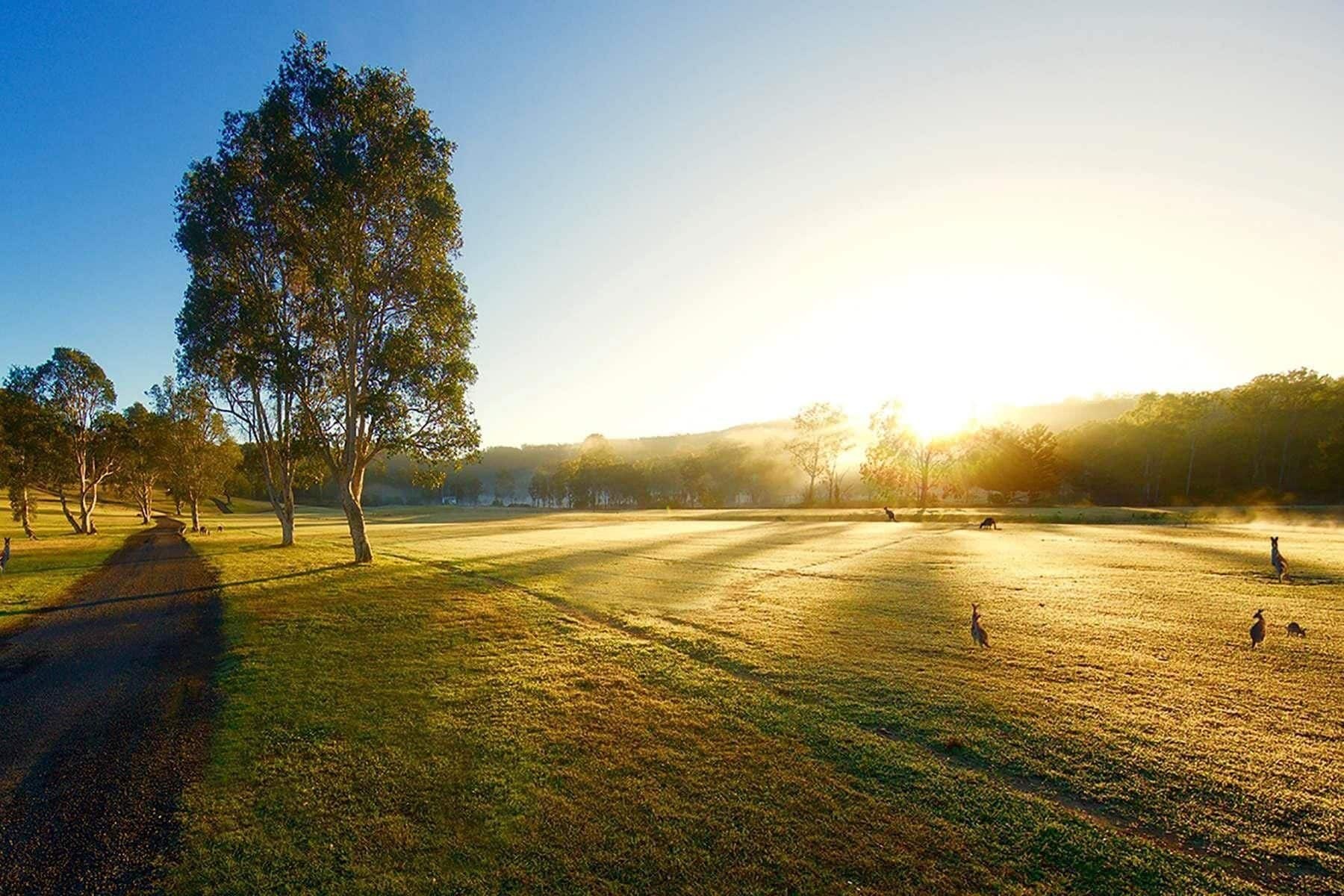 The Kooralbyn Valley Buitenkant foto